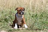 STAFFIE 104